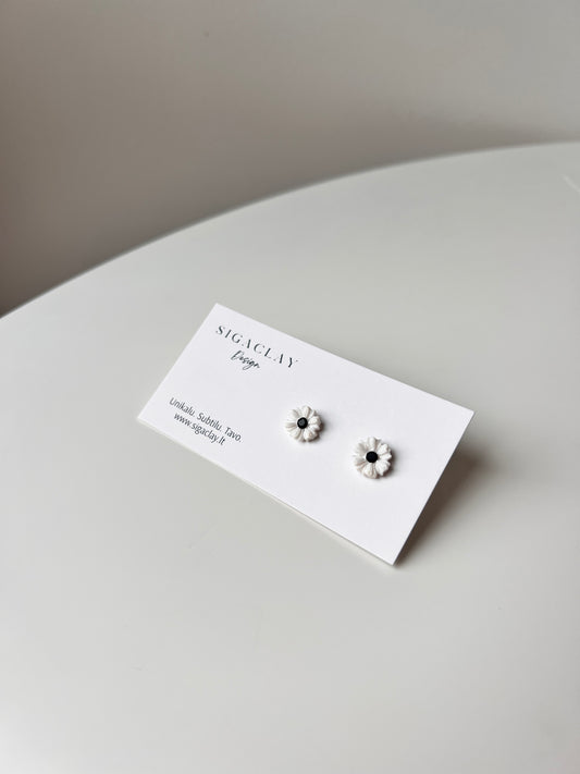 Ramunėlės su juoda akute