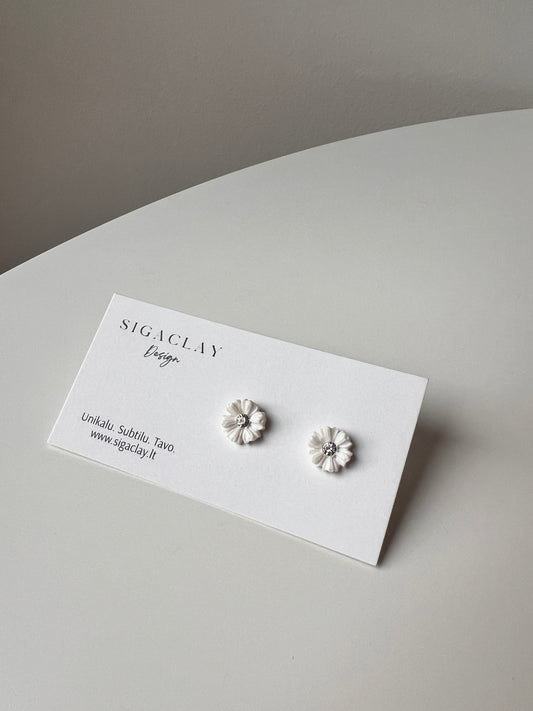 Ramunėlės su sidabrine akute